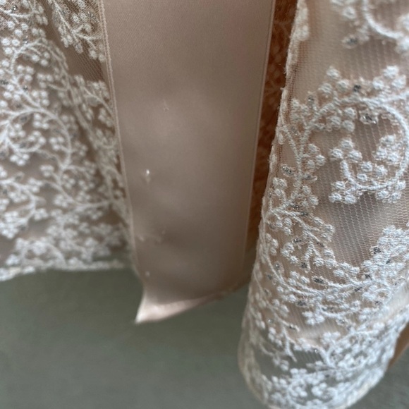 TAHARI Arthur S. Levine A-Line Lace Overlay Dress Blush Shimmer Floral Size 10P - Picture 13 of 14